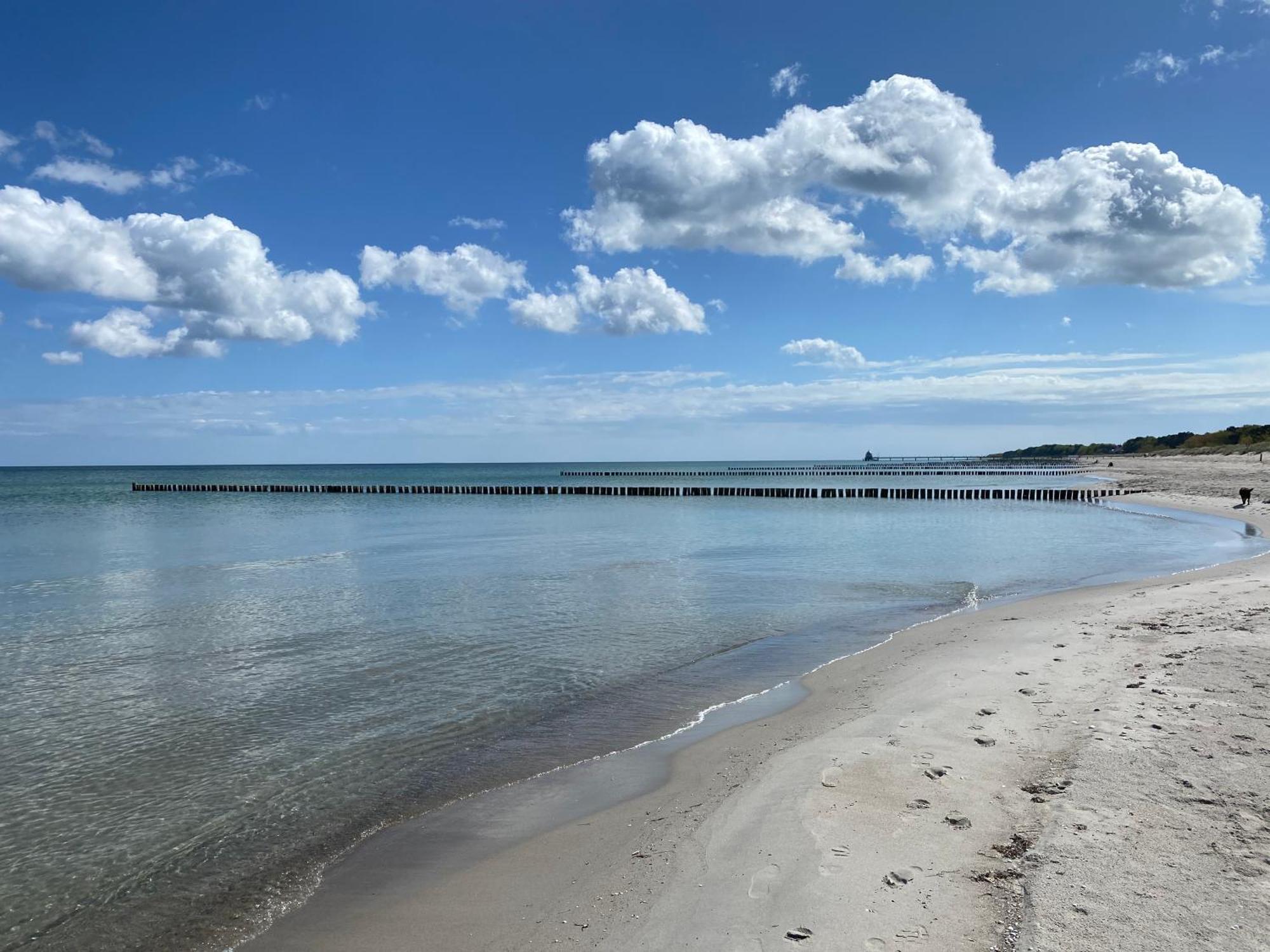 Schwalbennest Villa Zingst Exterior foto